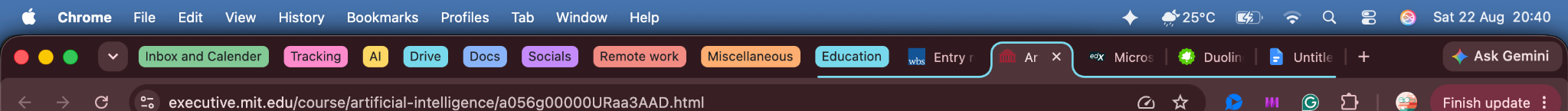 Vivian's browser workspace organized into clearly labeled tab groups.